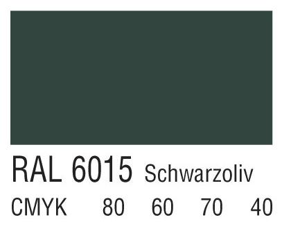 RAL 6015黑齐墩果色